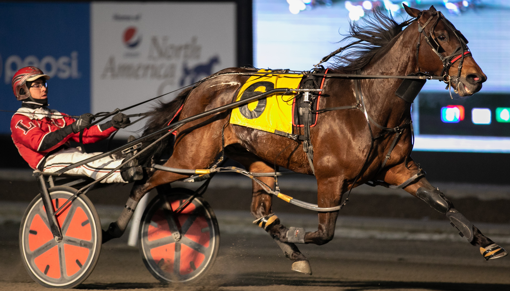 Woodbine Mohawk Park racing tonight Ontario Racing
