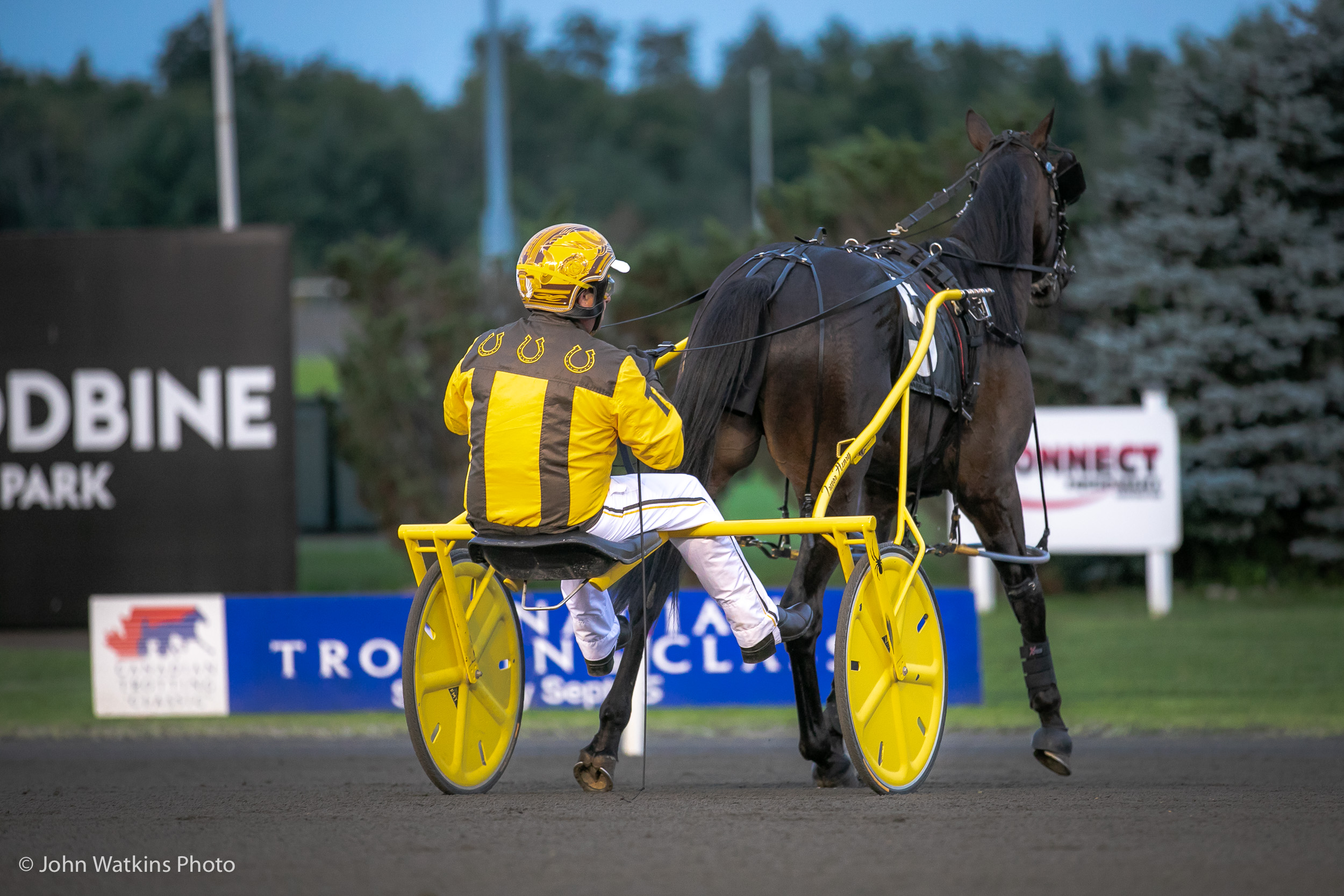 Woodbine Mohawk Park to resume live racing tonight Ontario Racing