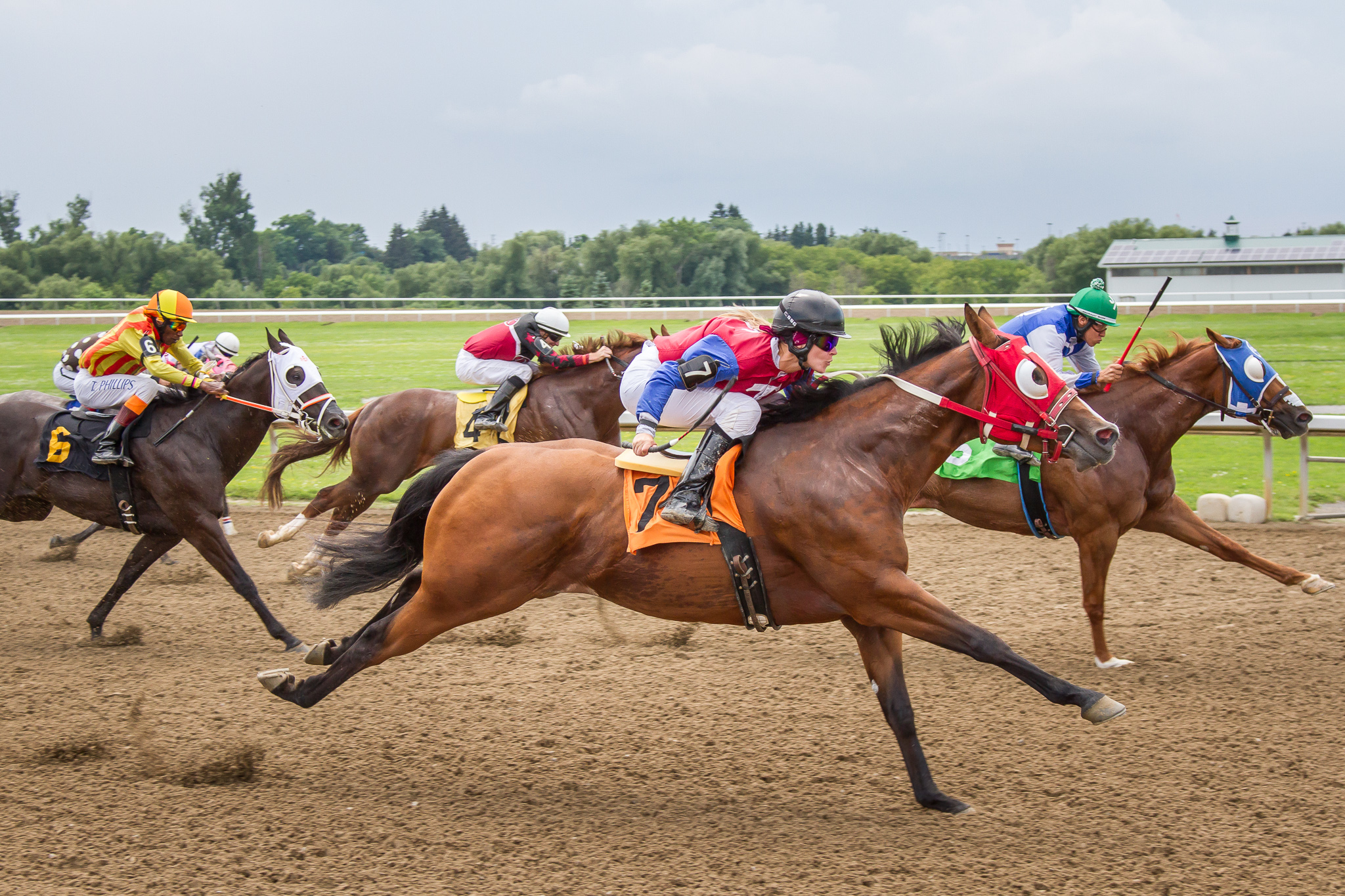 50 Years Of Quarter Horse Racing In Ajax - Ontario Racing