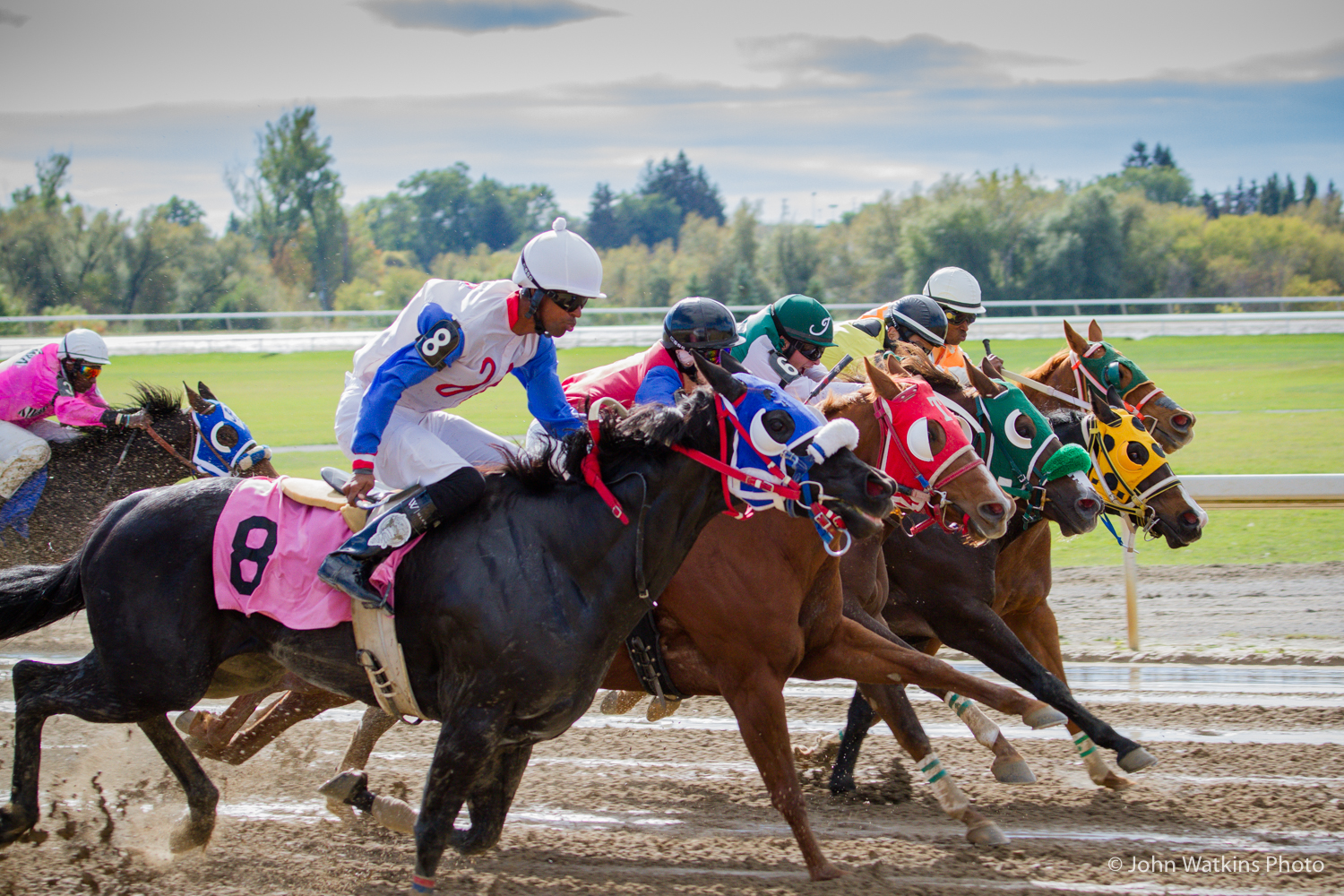 Quarter Horse Racing | Indiana Grand Racing & Casino