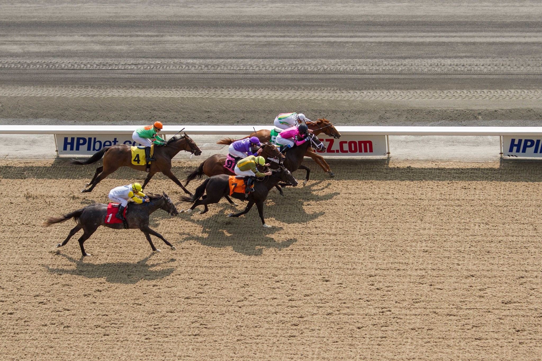 Woodbine Entertainment Successful 2017 highlighted by wagering