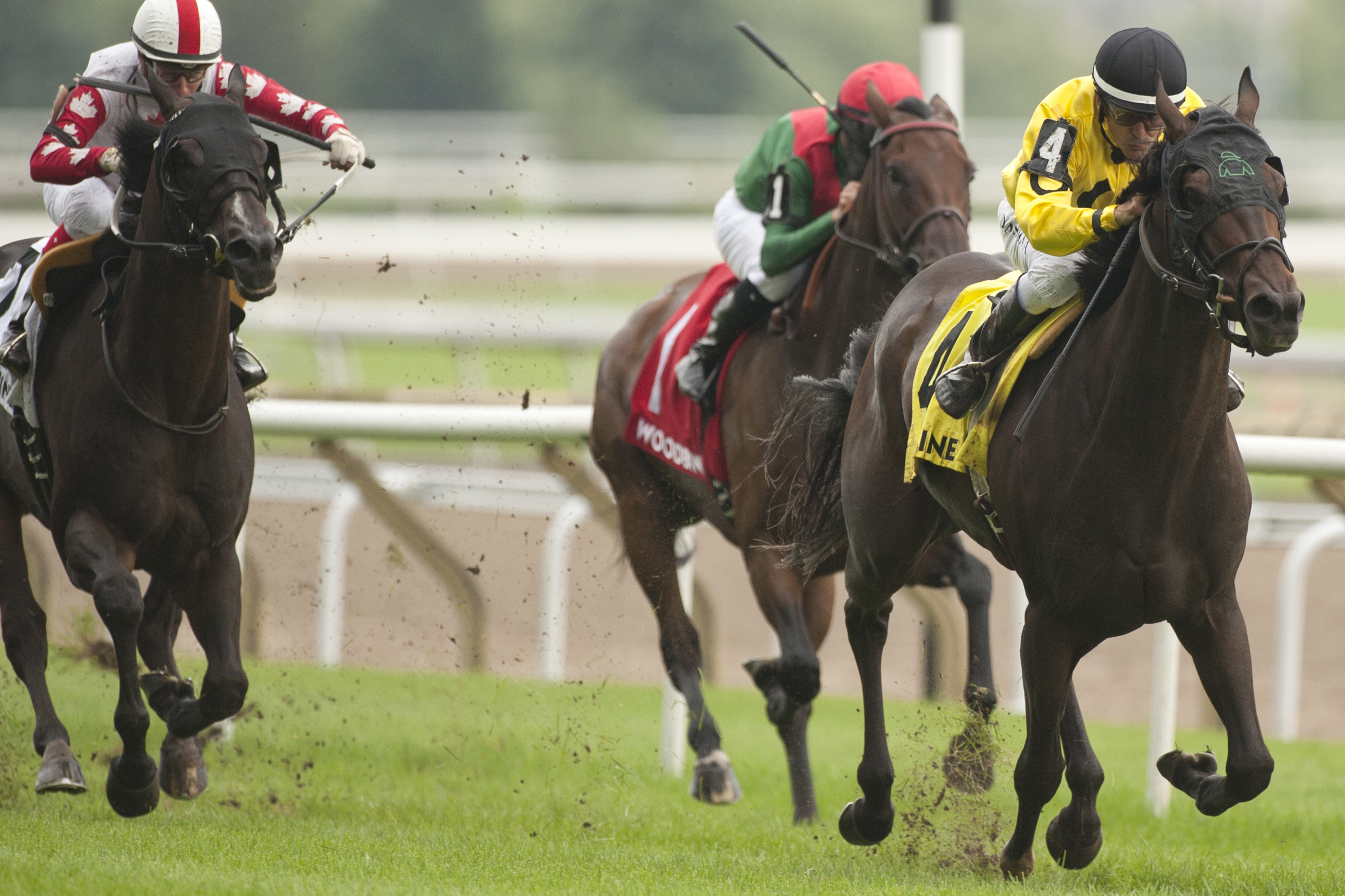 Ricoh Woodbine Mile Notes for Monday, September 10, 2018 Ontario Racing