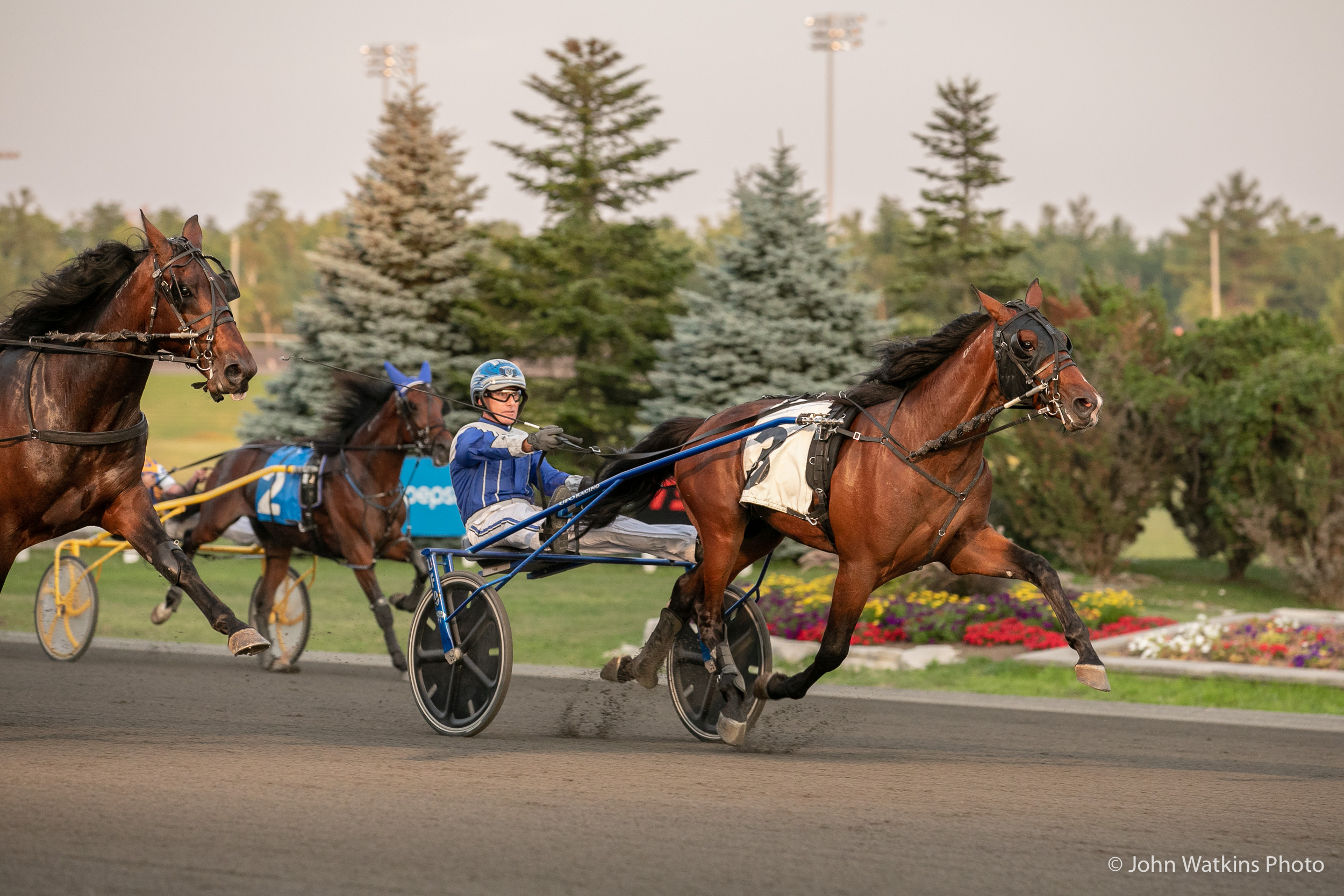 Woodbine Racetrack Results Woodbine Racetrack Results