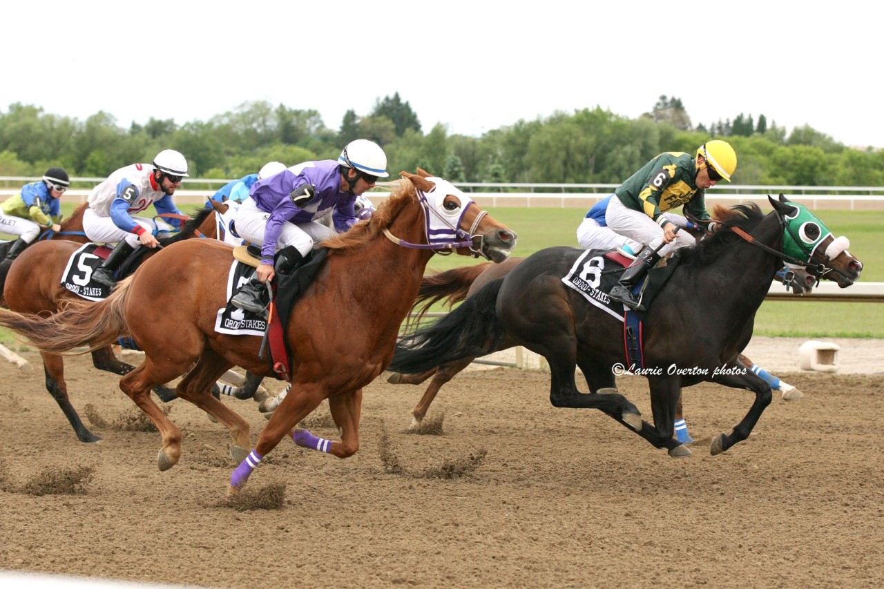 Ajax Racetrack Ajax Racetrack