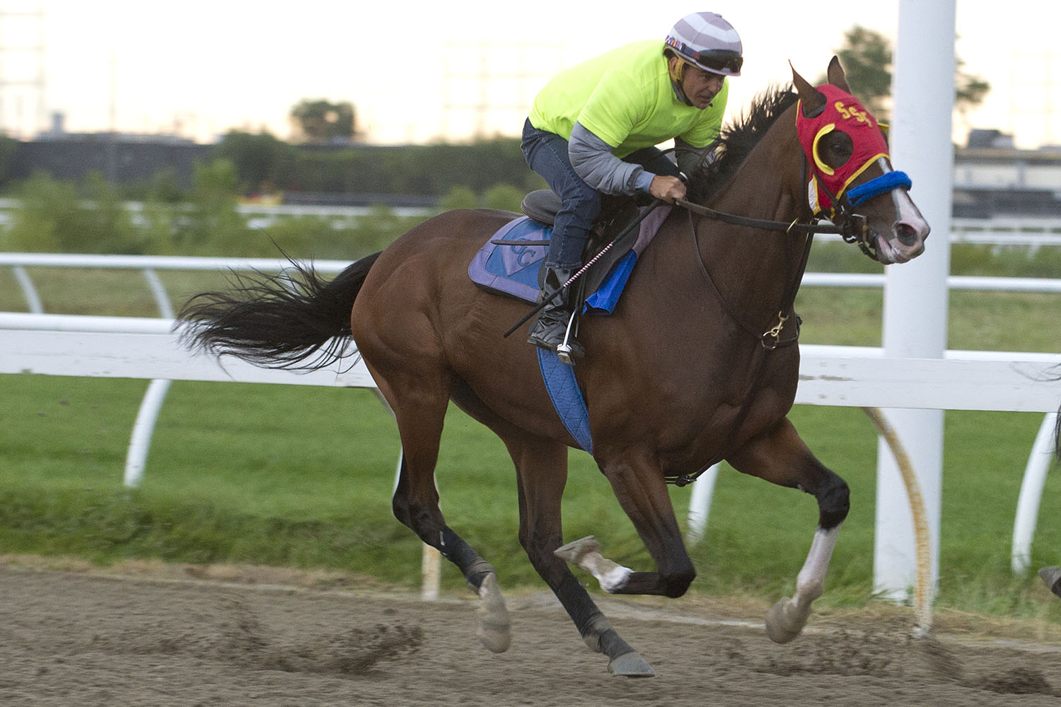 Ricoh Woodbine Mile notes for Saturday, Sept. 7, 2019 Ontario Racing
