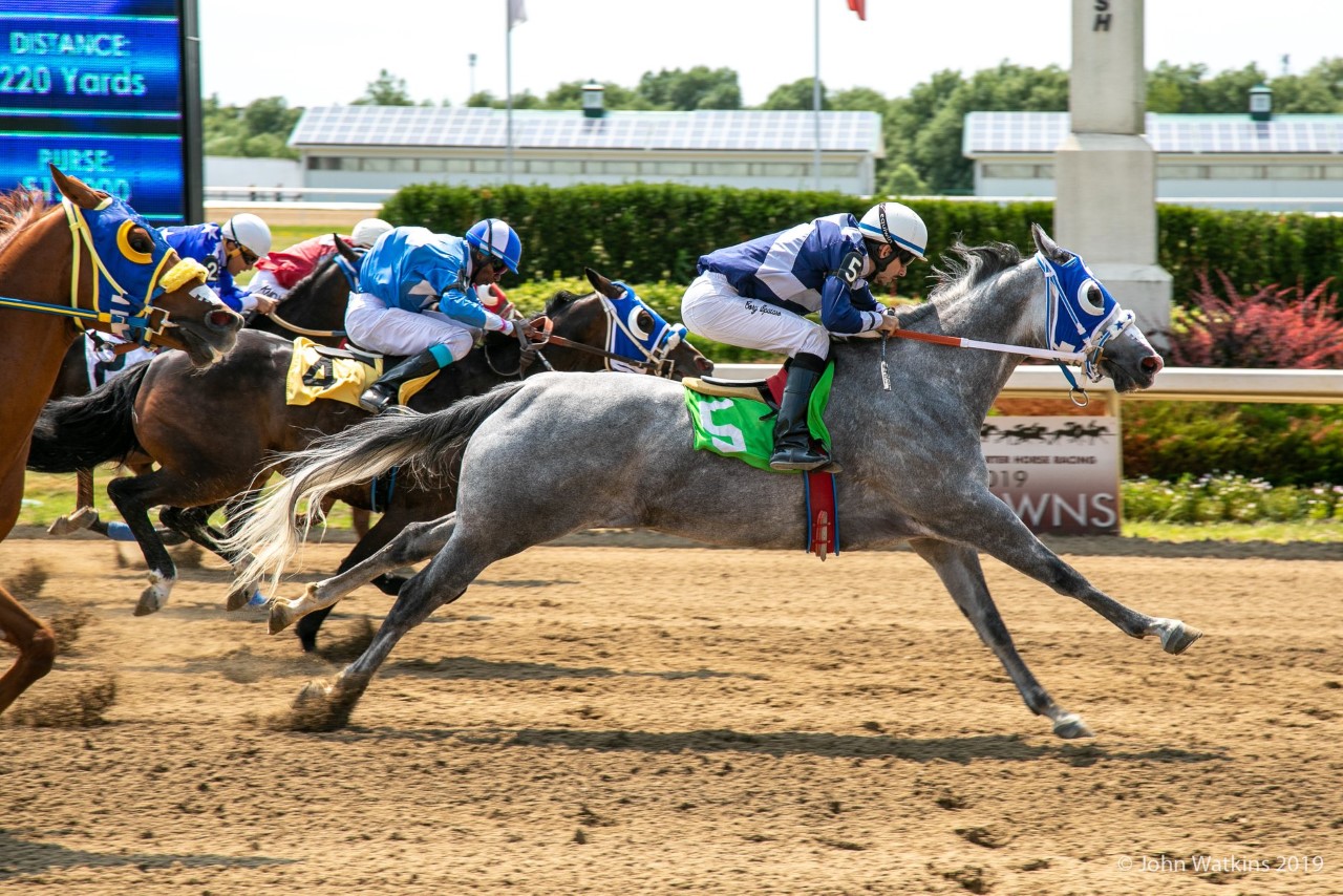Ajax Horse Racing Ajax Horse Racing