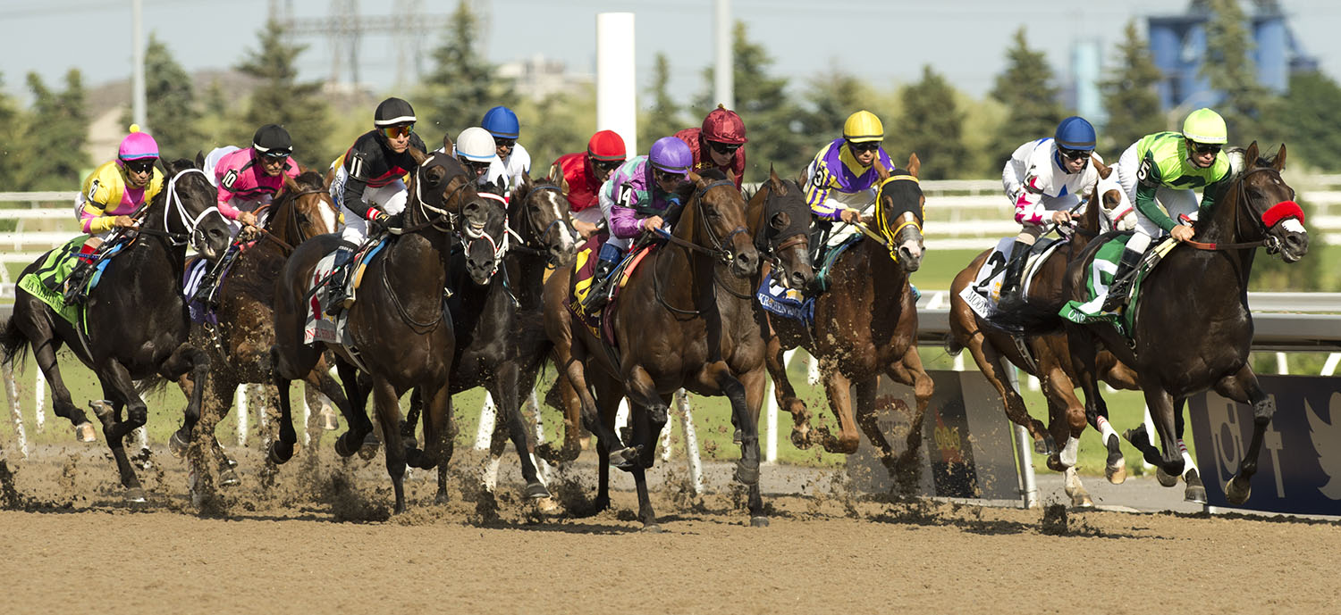 Woodbine 2020 Thoroughbred Stakes Schedule Finalized - Ontario Racing